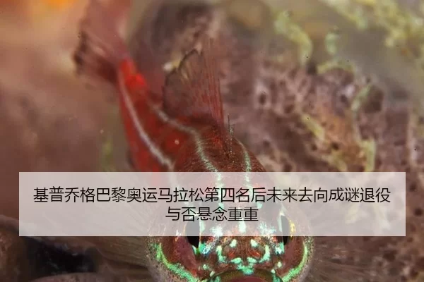 基普乔格巴黎奥运马拉松第四名后未来去向成谜退役与否悬念重重